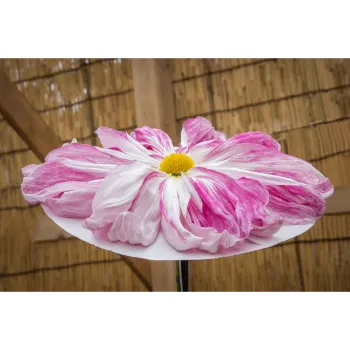 arali flower (14)-4900906-45982.webp